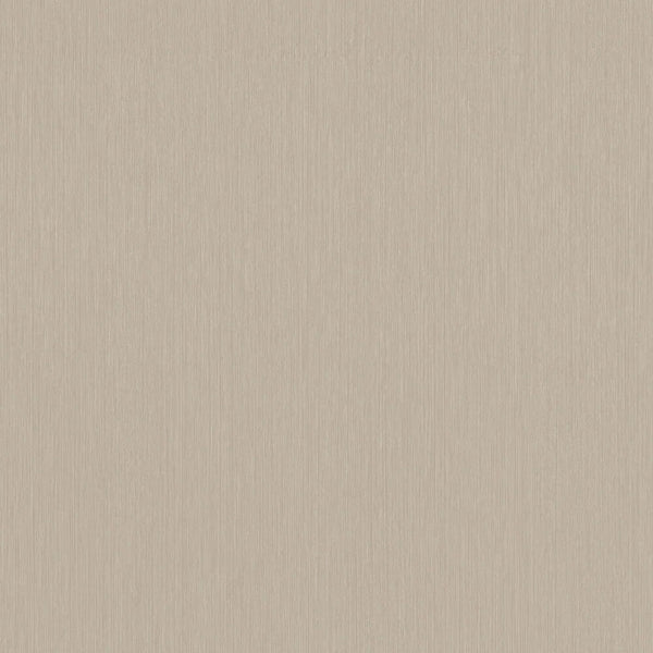 FD06 Reflex - Champagne