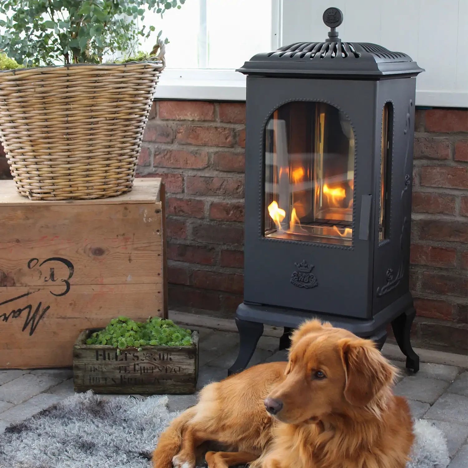 Victoria 100 Bio-ethanol